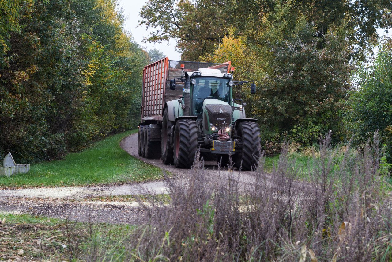 Bild 41 - Maisernte am 22.10.12